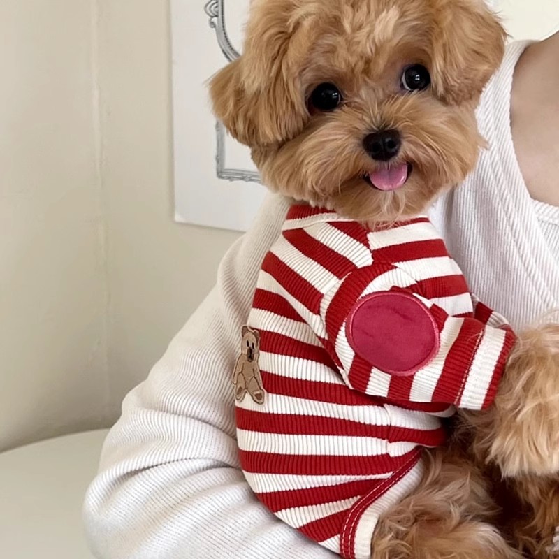 Çizgili Köpek Gömleği Köpek Ya - Sleeveless Undershirt incelemesi ve fiyatı
